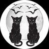 catsandbats